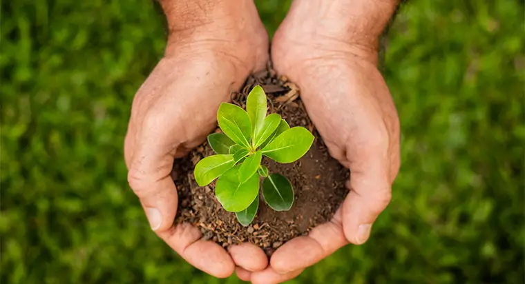 Sustentabilidade